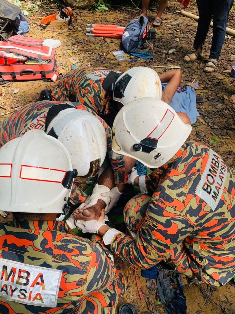 Mangsa Pokok Tumbang 01