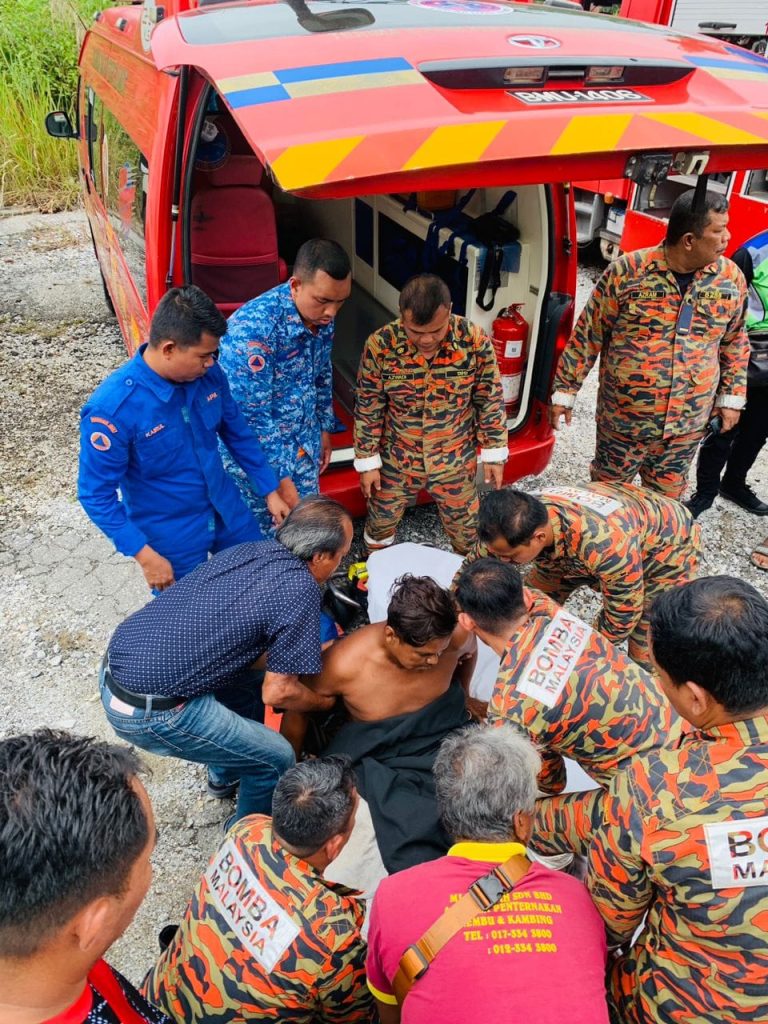 Mangsa Pokok Tumbang 02