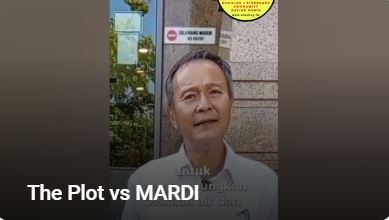 The Plot Vs Mardi