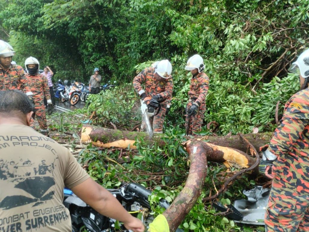 Ditimpa Pokok Di Taiping 02